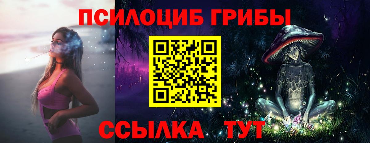 Псилоцибиновые грибы Cubensis  Вход с VPN  Галлюциногенные грибы ЛСД  Урюпинск 